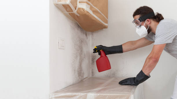 Professional Mold Remediation technician working in Island Park, NY